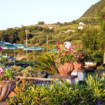 Hotel Poggio Del Sole Forio di Ischia Restauracja zdjęcie