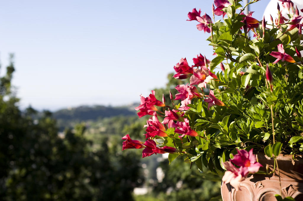 Hotel Poggio Del Sole Forio di Ischia Zewnętrze zdjęcie